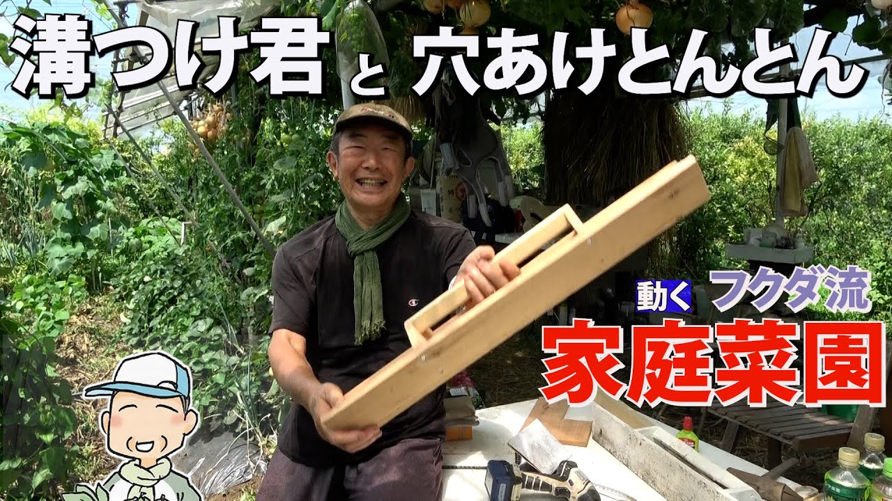 【家庭菜園】溝つけ君と穴あけとんとん　手作り道具で種まき（おまかせ菜園フクダ流）
