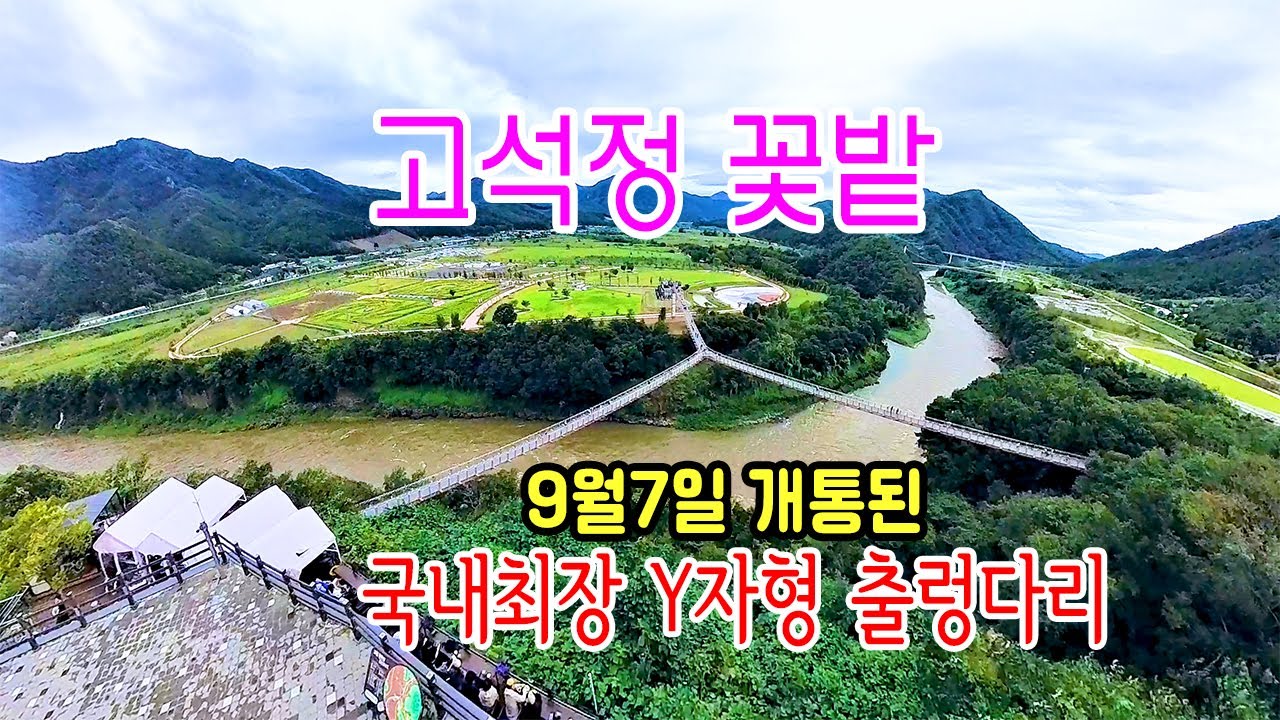 철원고석정 꽃밭의 9월21일 모습과  포천에 새로 들어선 국내 최장 Y자형 출렁다리를 소개합니다 #철원고석정꽃밭 #고석정  #포천출렁다리 #포천경관생태단지#포천Y자형출렁다리