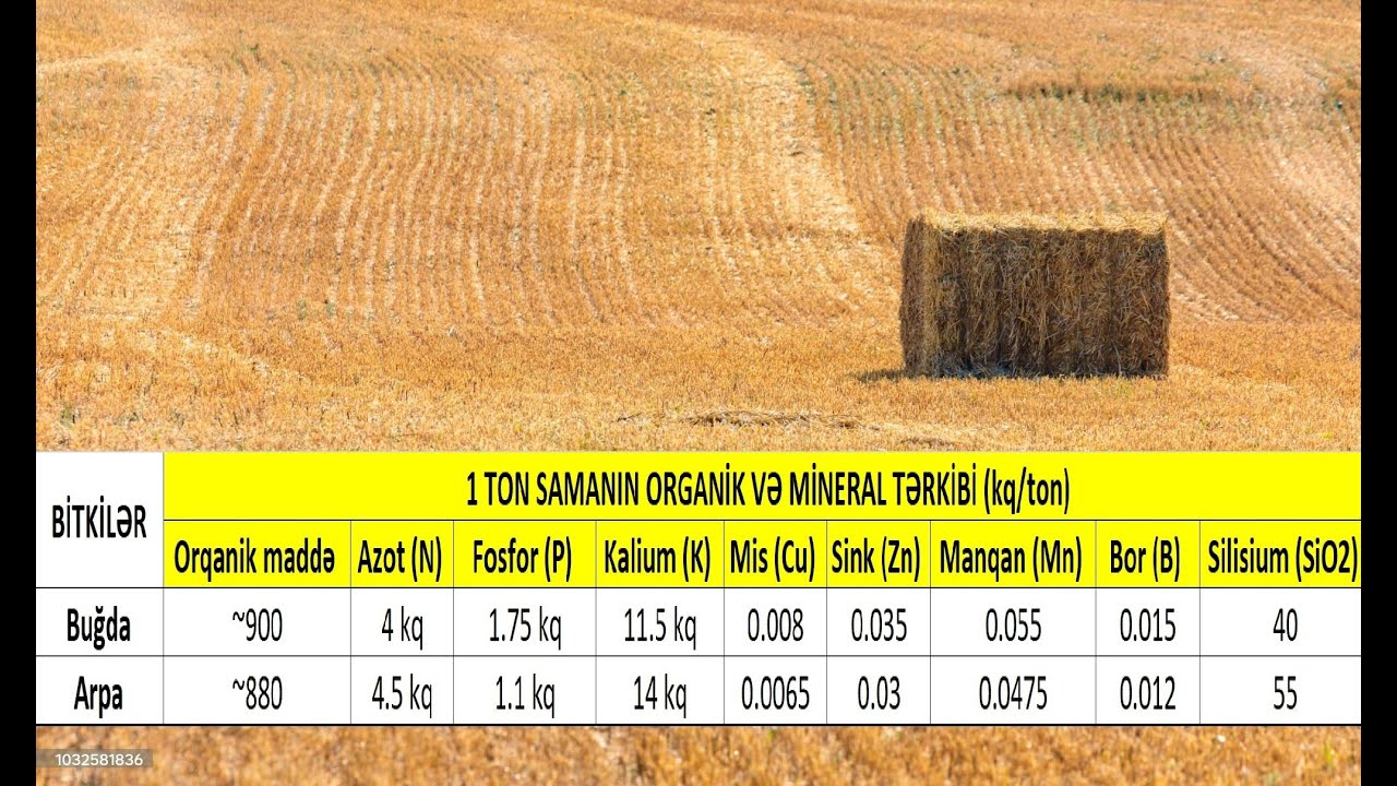 Samanı gübrəyə  necə çevirməli?