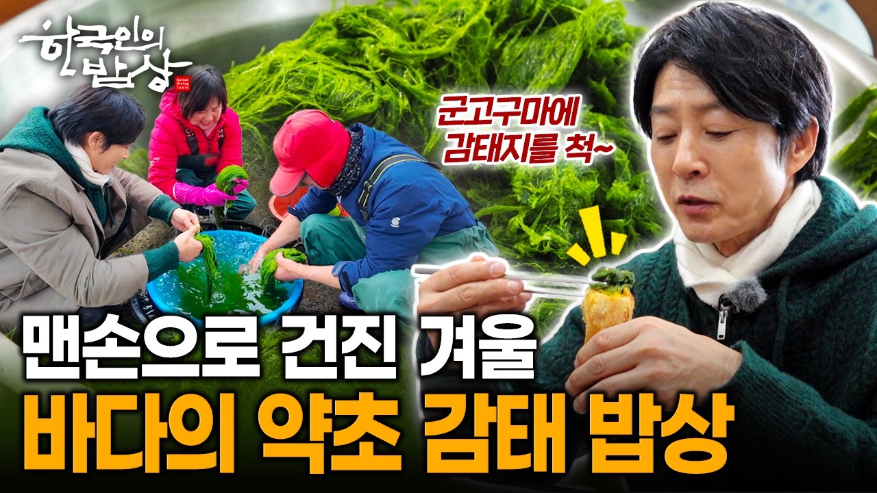 겨울 끝자락 맛보는 만재도 감태, 맨손으로 건진 겨울 바다의 약초 밥상 | KBS 260219 방송