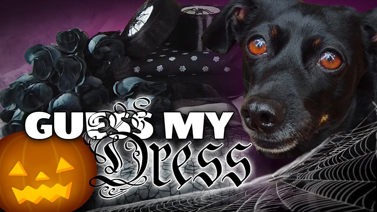Can’t Wait for Halloween! 🎃 Can You Guess My Costume? 🪡