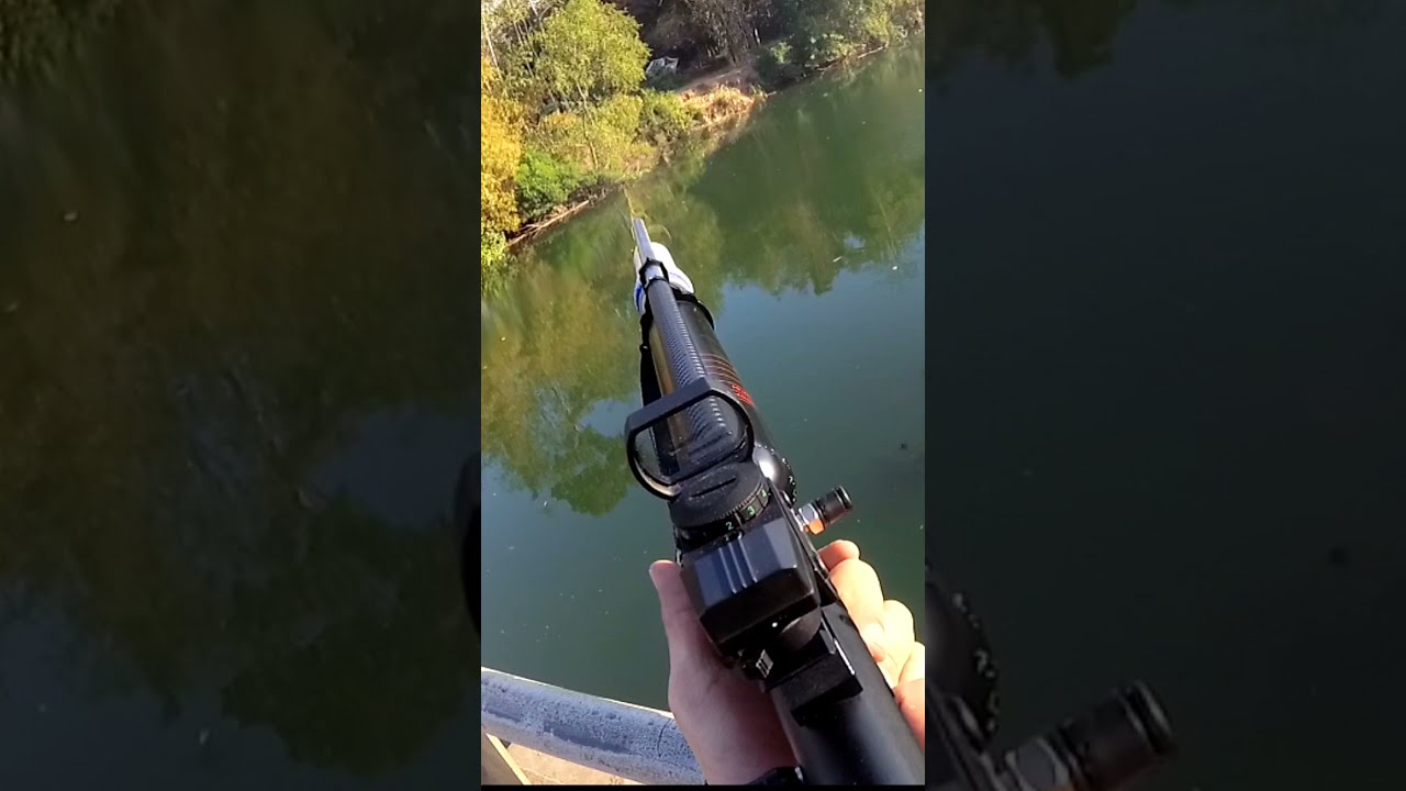 dart airgun for fishing paser mania