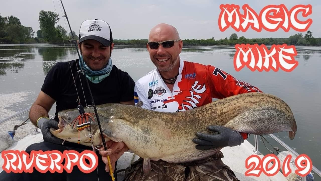 Big fish in River Po 2019 Italy