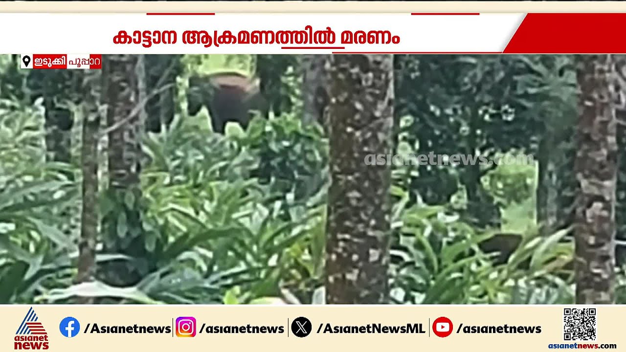 ഇടുക്കിയിൽ കാട്ടാനയുടെ ആക്രമണത്തിൽ അറുപത്തിരണ്ടുകാരന് ദാരുണാന്ത്യം | Idukki | Wild elephant attack