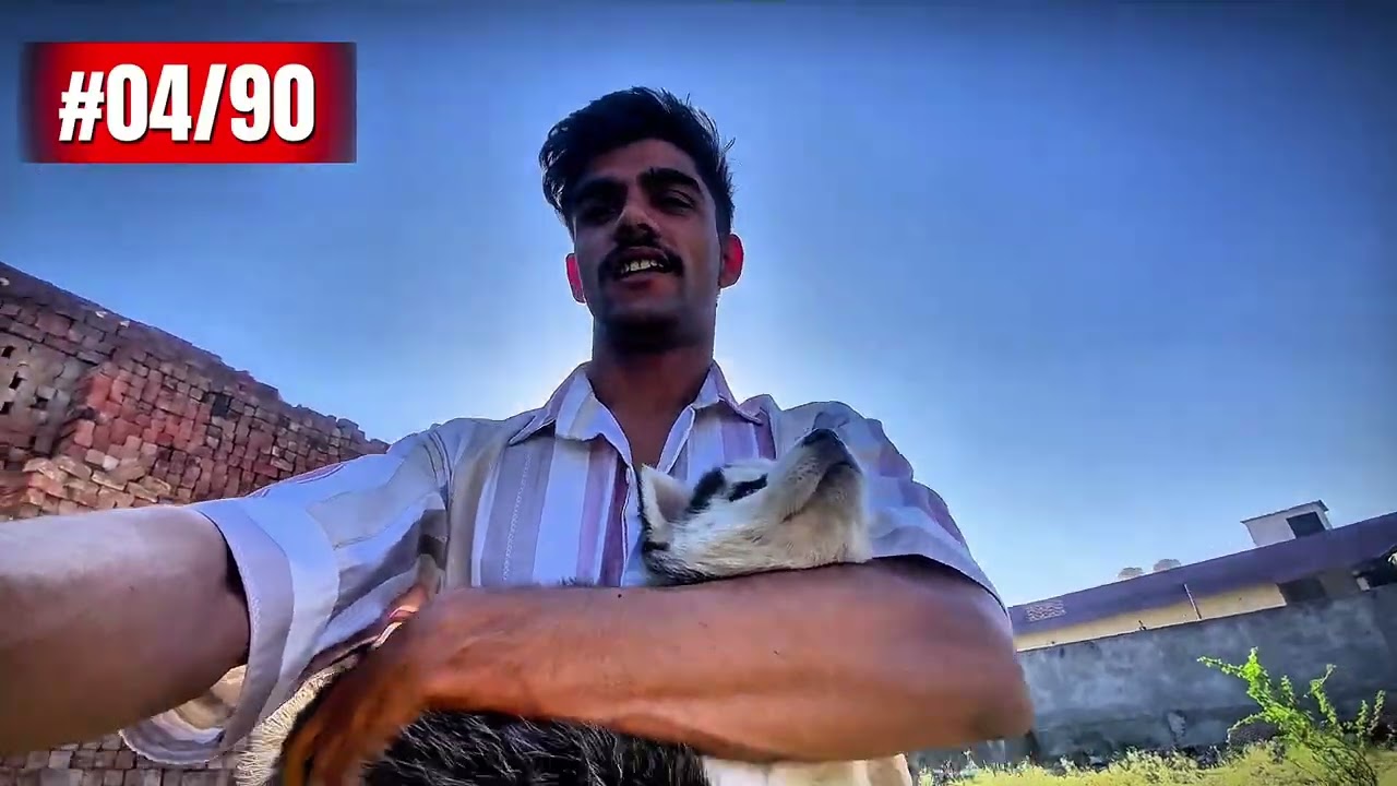 90 Day Challenge Day 4 | Daily Routine & Vlog Life 🎥#sourabhsharmadailyvlog 