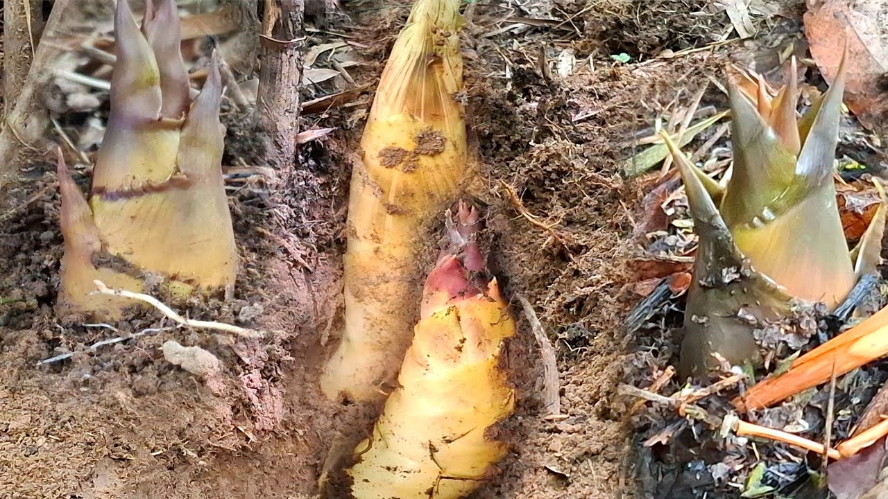 ป๊าด⁉️มีแต่ใหญ่ๆคุ้มค่ามากๆ