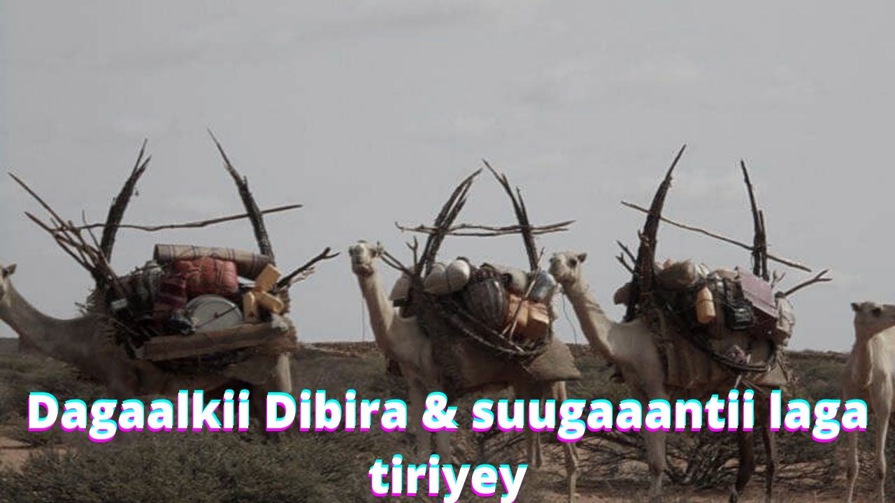 Dagaalkii Dibira & Suugaantii laga tiriyey 