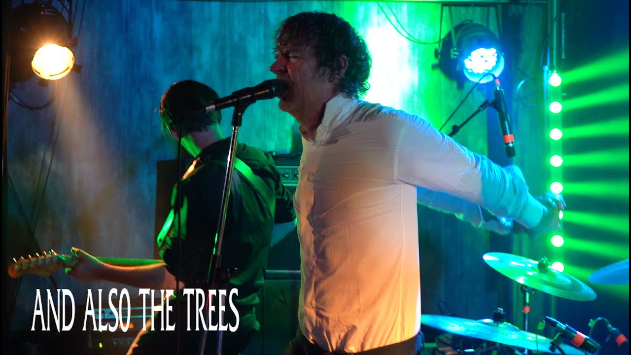 AND ALSO THE TREES 