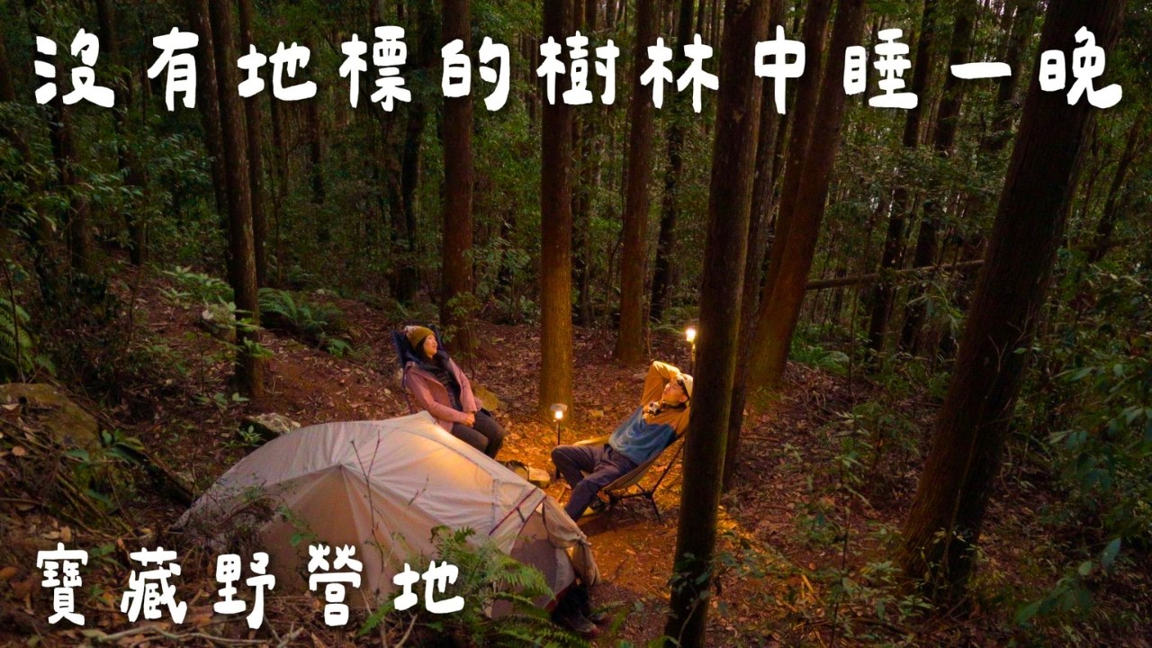 【大雪山松針野營秘境】 Google上你找不到這個點！新手野營這裡很推！橫嶺山步道主峰✅