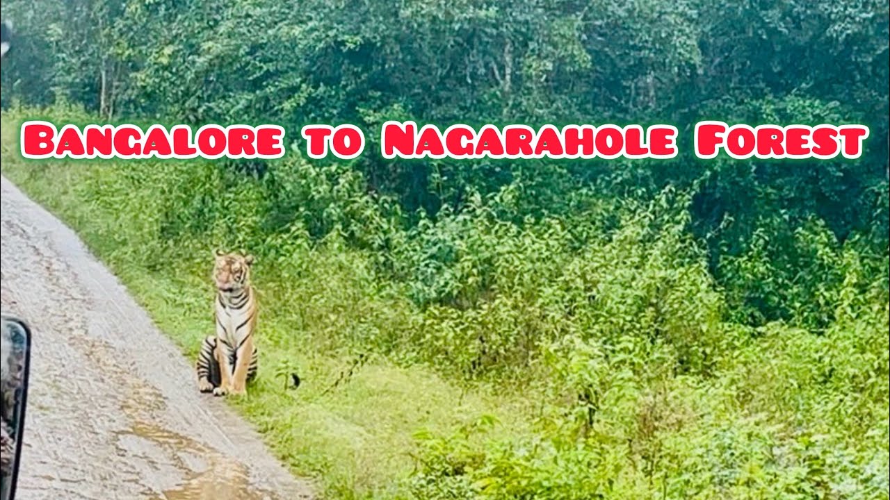 Bangalore to Kabini and Nagarahole National Park in EV car (Electric Vehicle)- EP - 1