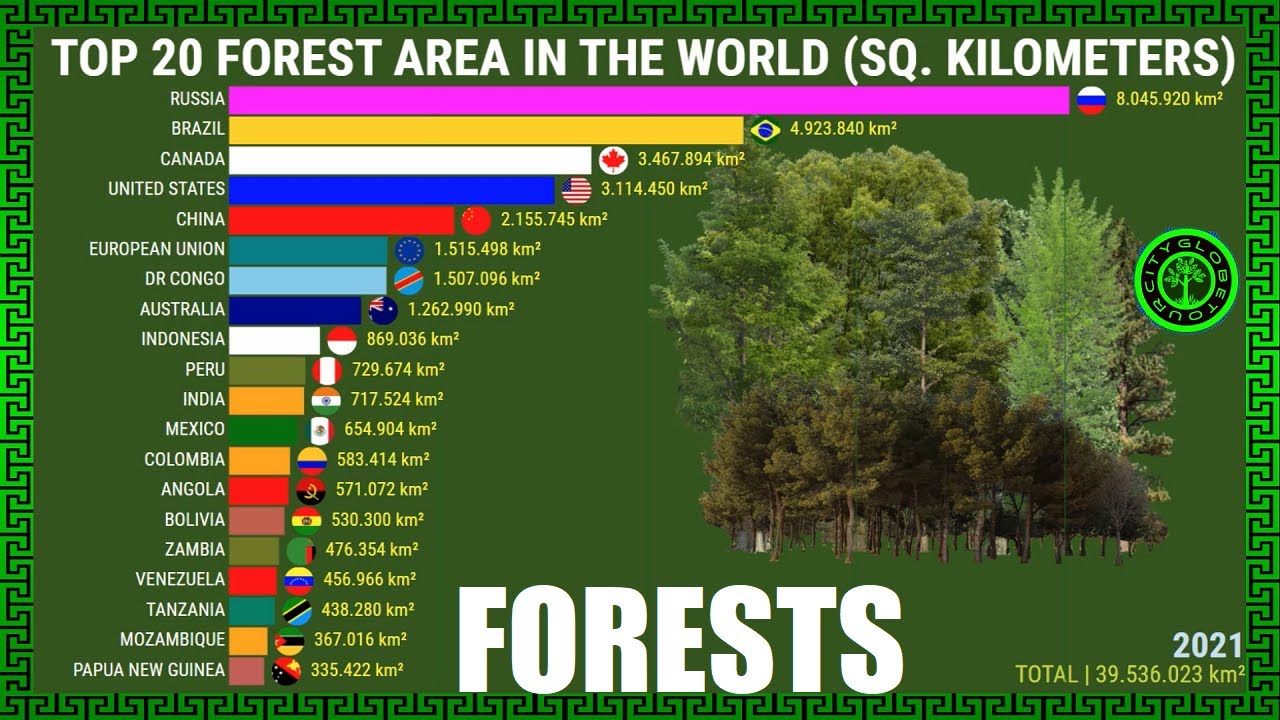 Top 20 Forest Area in the World | Sq. km&sup2;