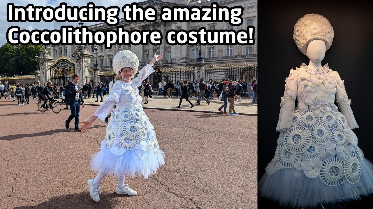 Science Meets Art - The creation of the unique Coccolithophore costume