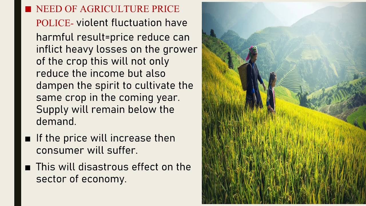 Agricultural price policy in indian-needs,objective,features||new agriculture price police|14