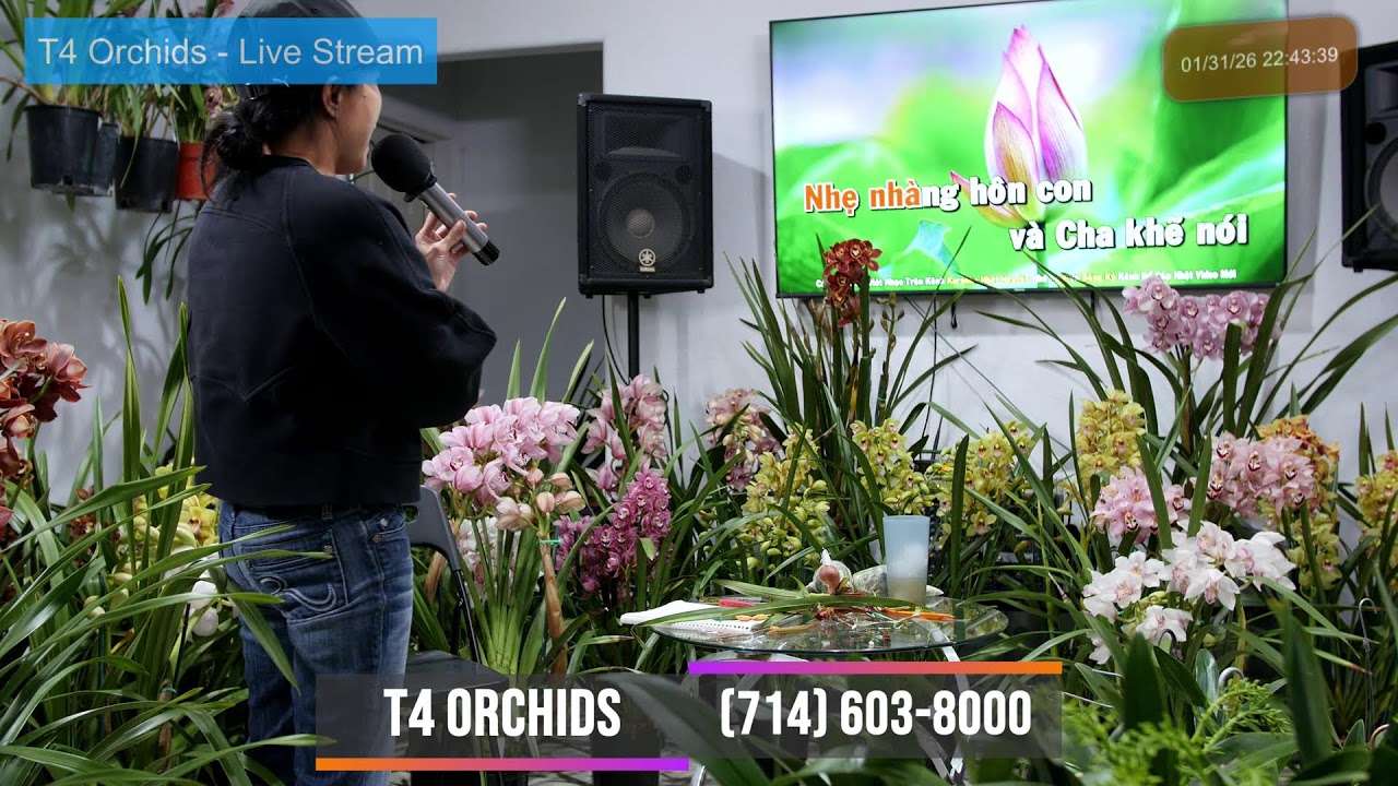 T4 Orchids ~ Livestream Jan 31, 2026  ~ Sell & Trade All Orchids Collections~ (714) 603-8000