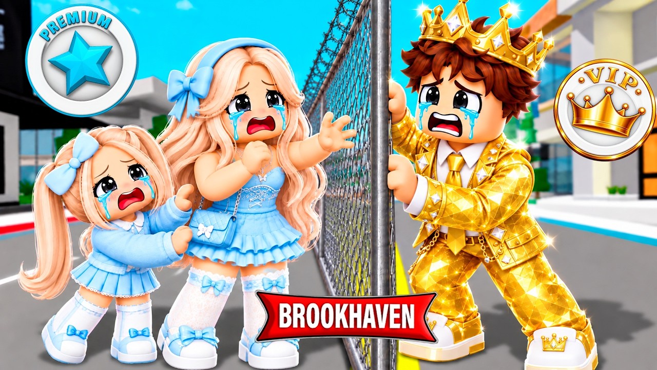 СТЕНА между VIP и PREMIUM РАЗДЕЛИЛА нашу СЕМЬЮ в Brookhaven RP! 🏡