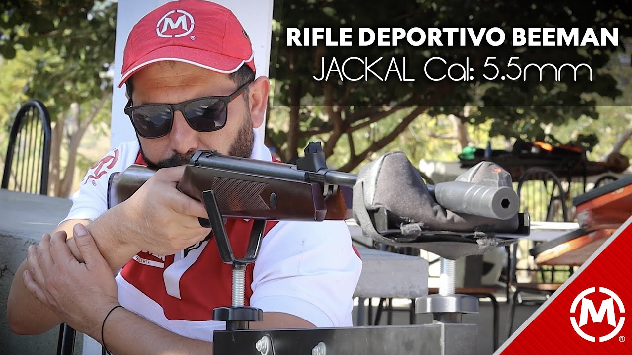 ¡Te sorprenderá este rifle de BEEMAN | JACKAL #deporte #rifles #punteria