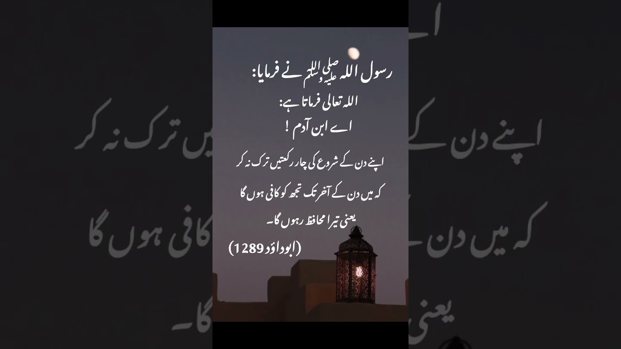 Beautiful Islamic words 🤲🌹#islam #islamicshorts #quotes #muslimcontent #muhammadﷺ #shortsfeed