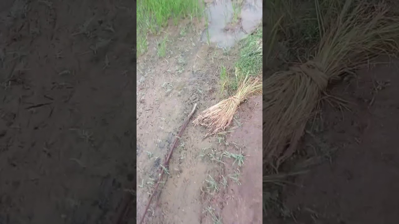 நான் கற்ற  அனுபவம்  