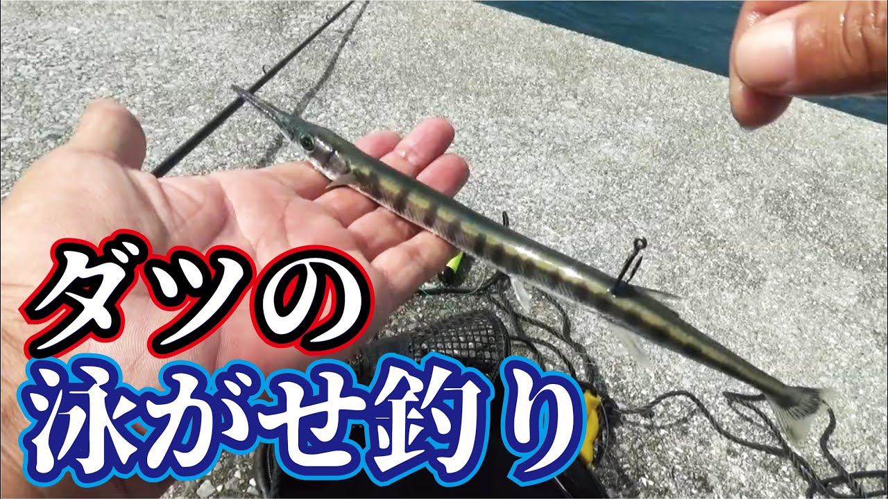 ダツが堤防で釣れるので泳がせてみたら皮一枚で衝撃的生物が～きた（949話目）