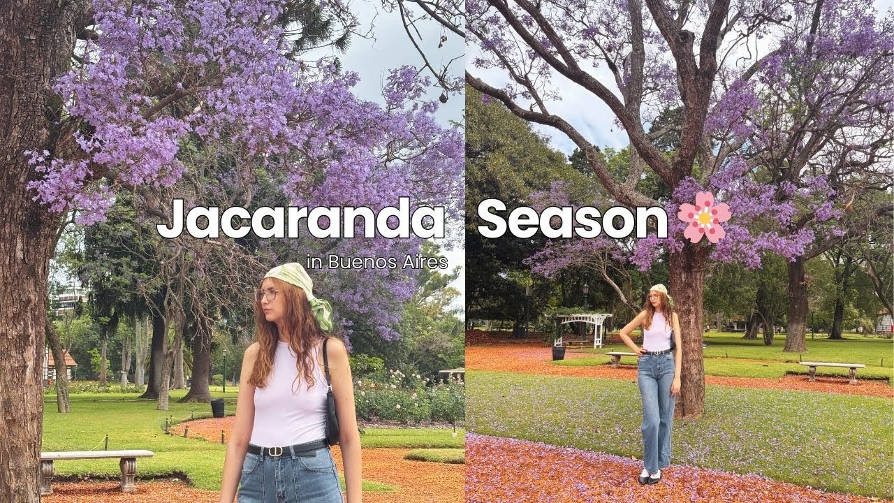 a day in Buenos Aires: Rosedal park, jacaranda season & an unexpected J&J event