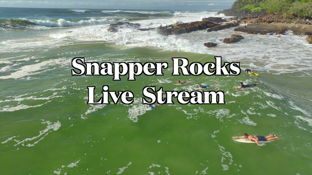 Snapper Rocks Live Stream