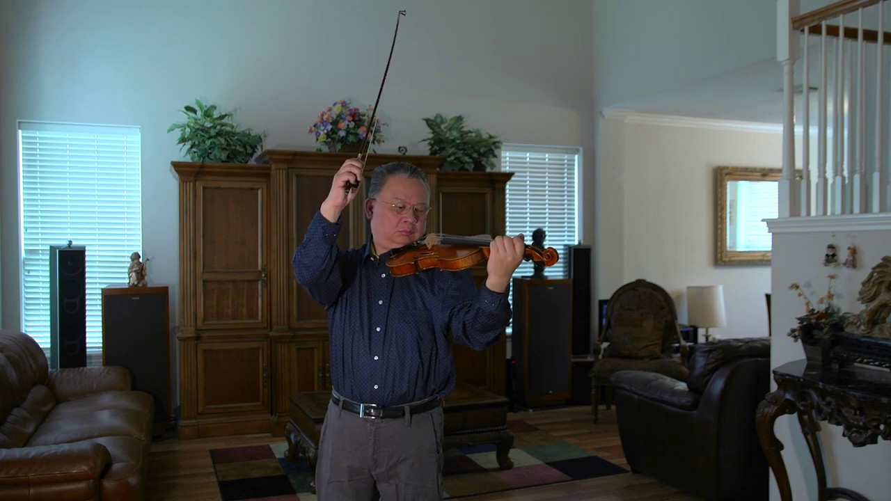 merry widow waltz by Franz Lehar Violin solo and orchestra