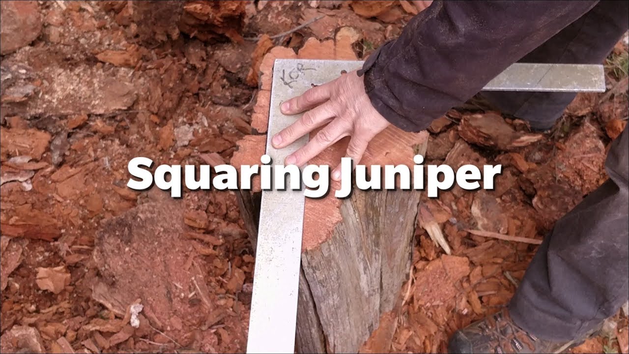 Squaring Juniper Wood - using chainsaw