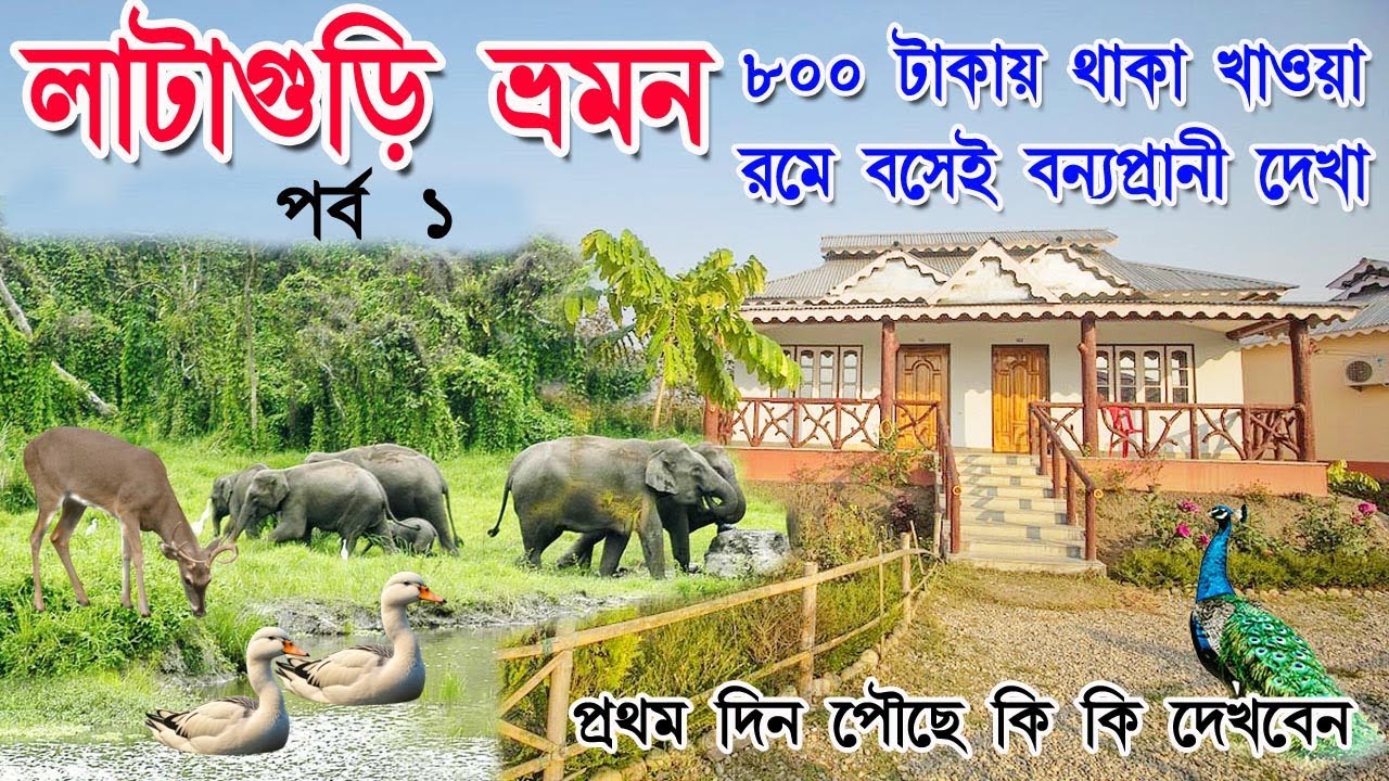 Dooars Tour : Lataguri Tour, Dooars Cheap Hotel, Dooars Tour plan