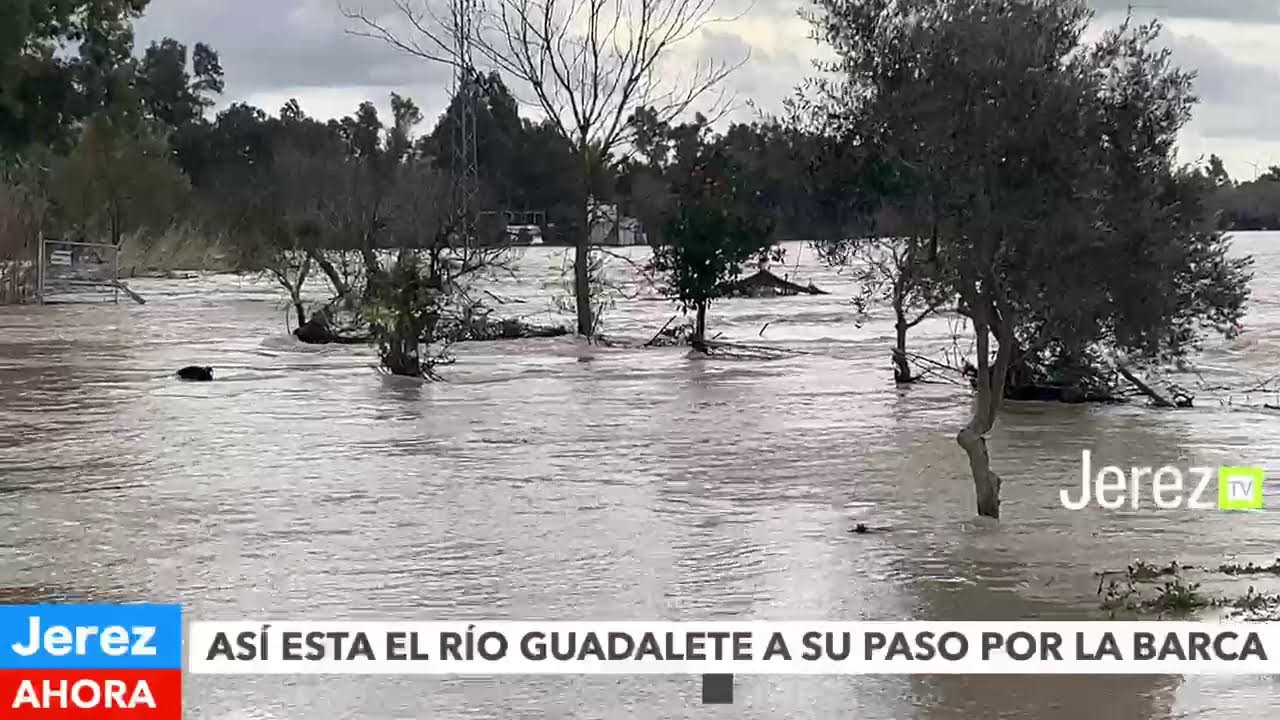 JEREZ TV 🔴 DIRECTO | ÚLTIMA HORA | ASÍ VA EL RÍO GUADALETE POR LA BARCA