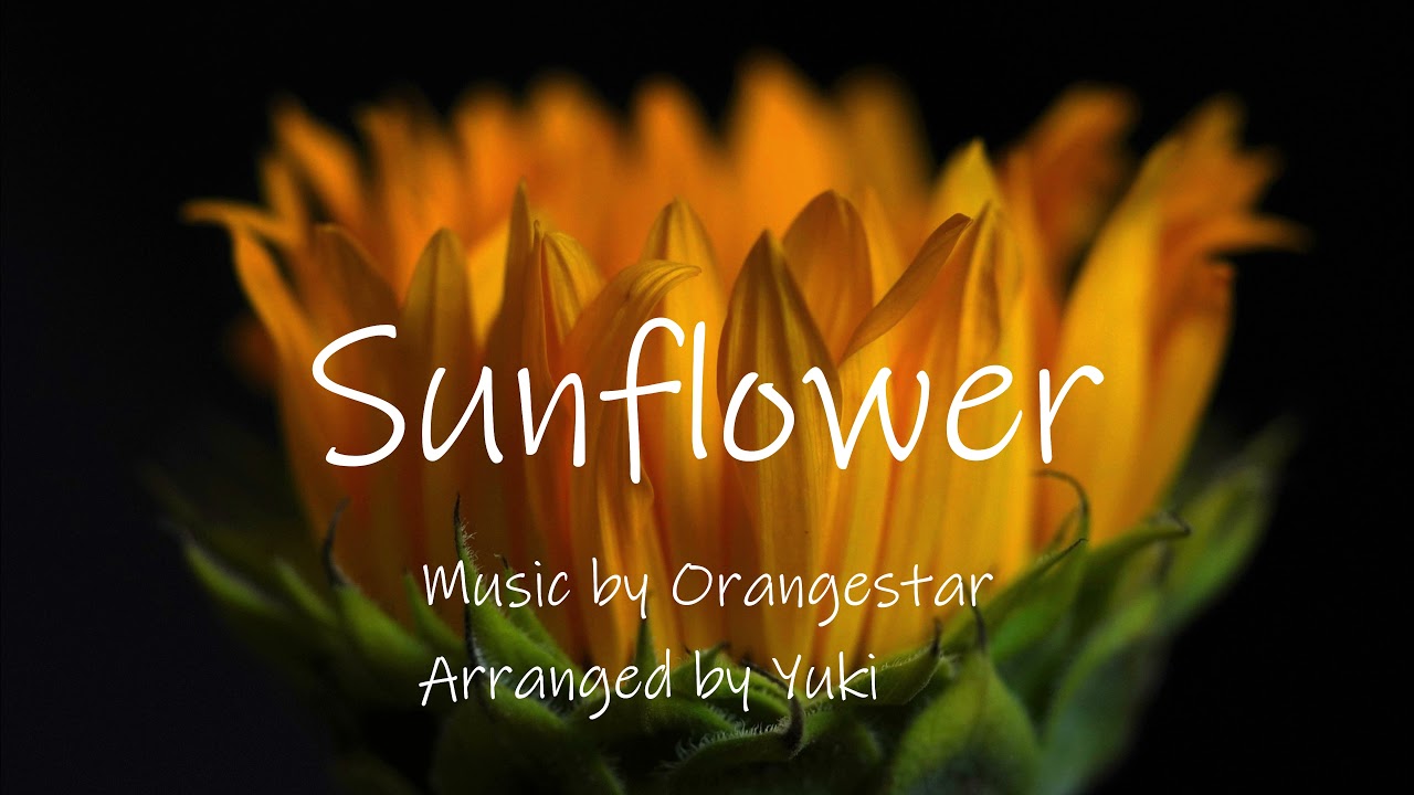 【Orangestar】 Sunflower　アレンジ