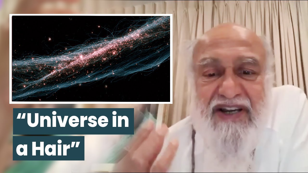 "The Universe in a hair" from the Yoga Vasishtha | In Quest of Truth - Babaji Q&A, No. 253