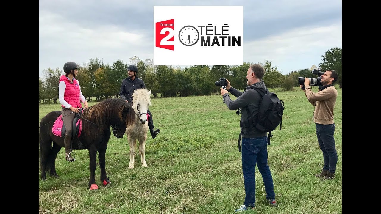 TELEMATIN - France 2 - Un Cheval qui a de l'allure
