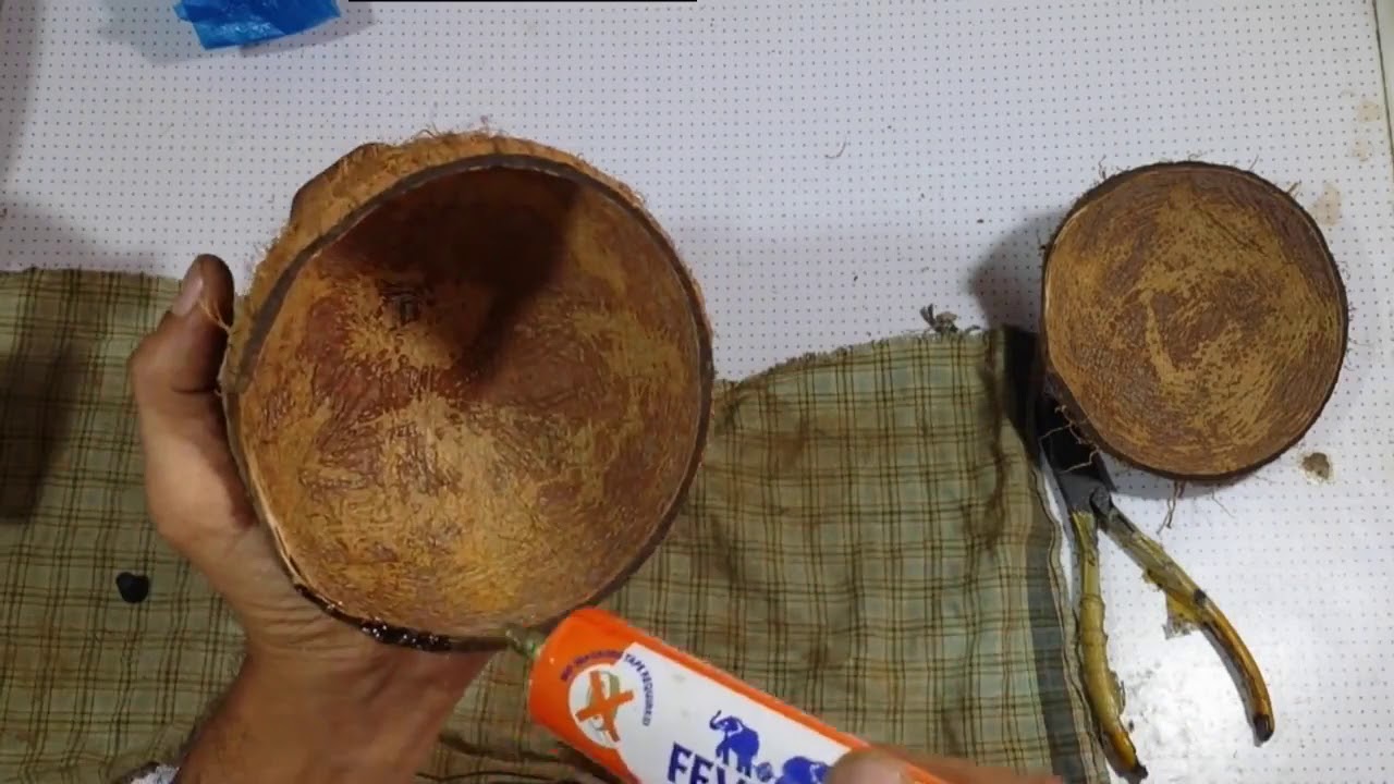 How to make bird nest with coconut shell DIY and save Birds