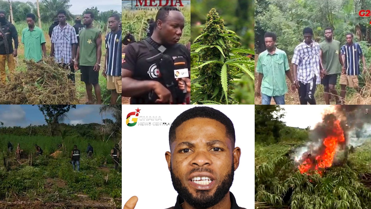 Police Arrests 6 Suspected C@nnab!s (W&pound;ɛd) Farmers in Eastern Region!