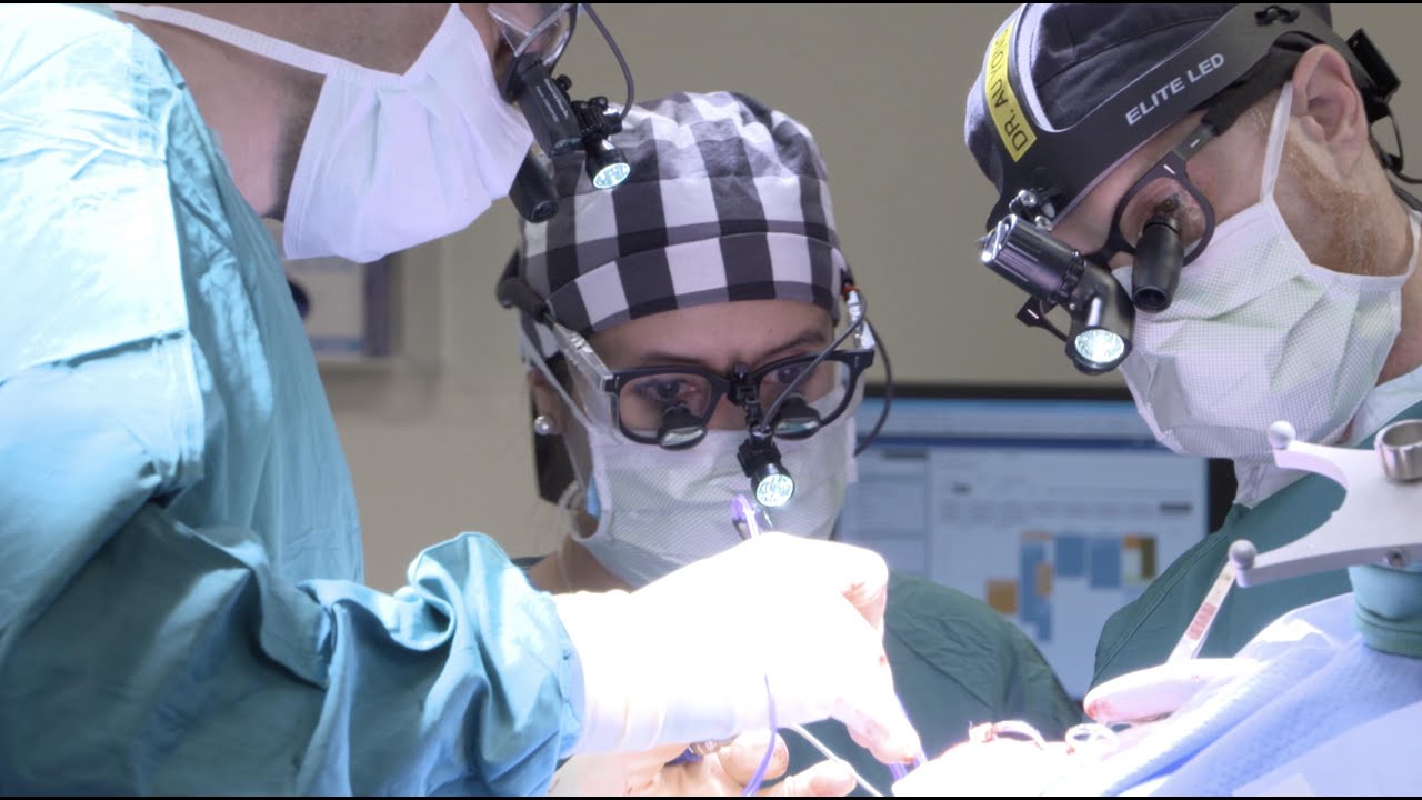 Game-Changing Medical Innovations| Your Fantastic Mind: Season 5, Ep. 4