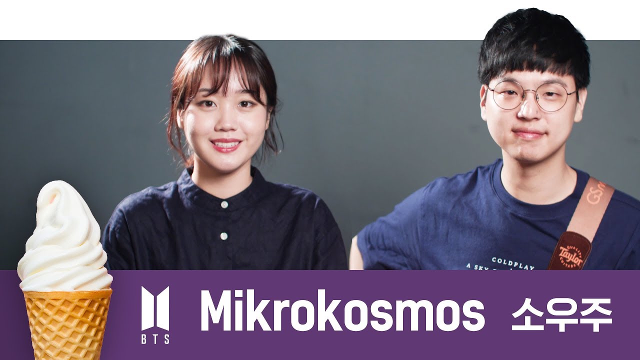 BTS "소우주(Mikrokosmos)"  acoustic cover