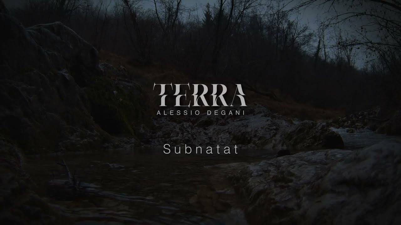 Subnatat