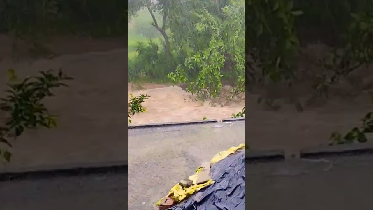 havoc in hp#monsoon #floods