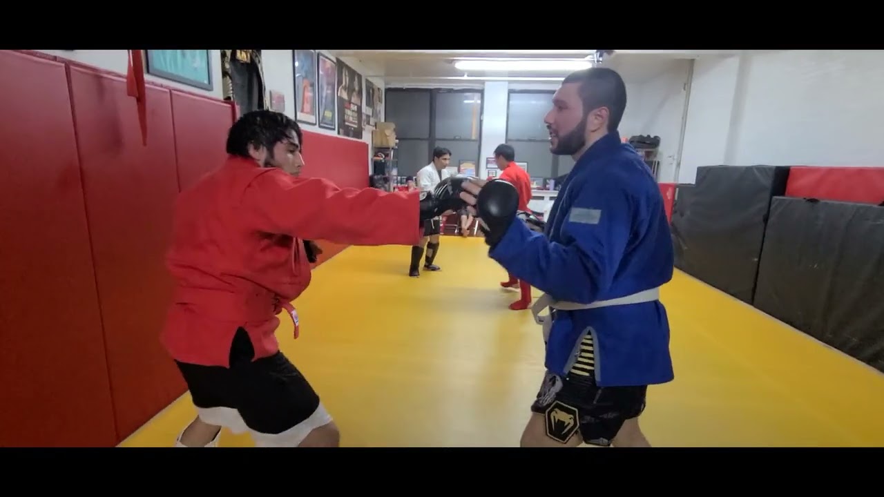 Combat Sambo practice