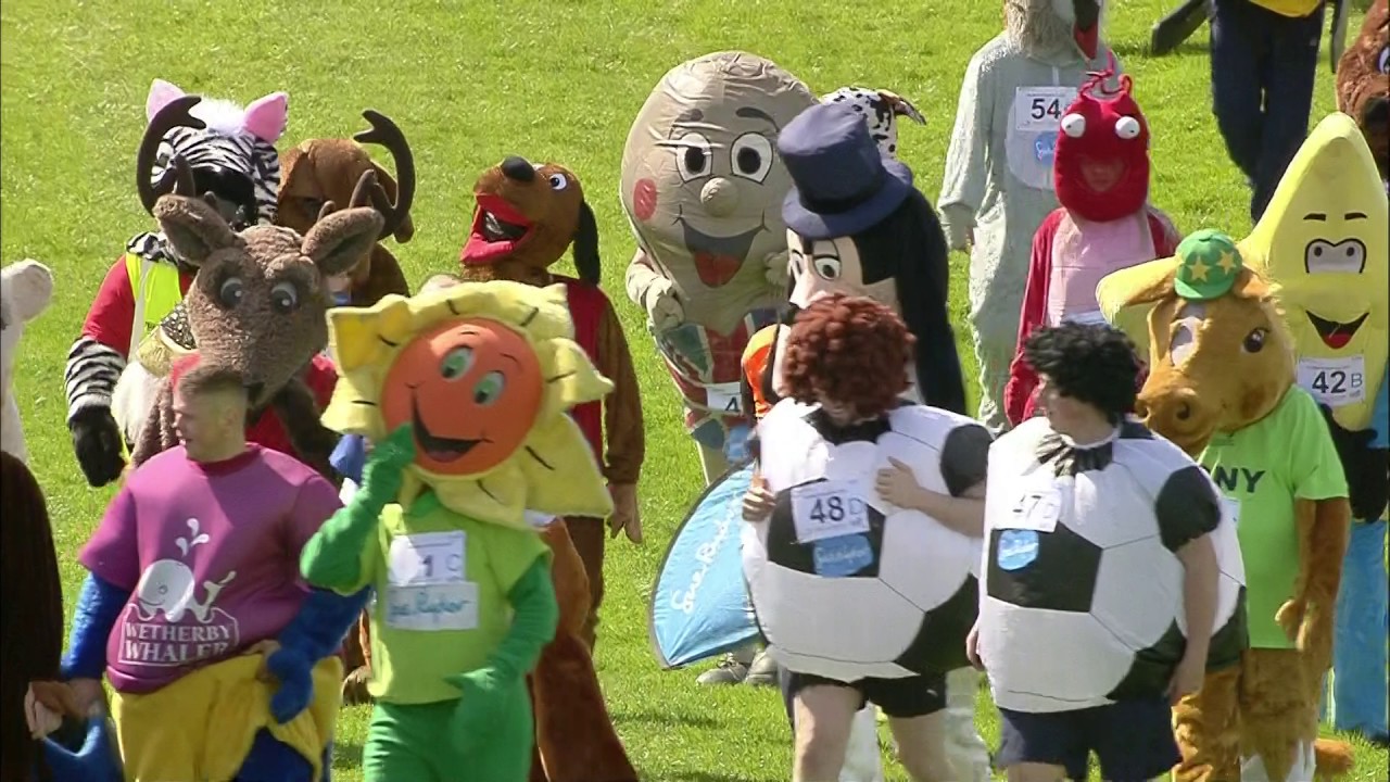 The Mascot Gold Cup 2017
