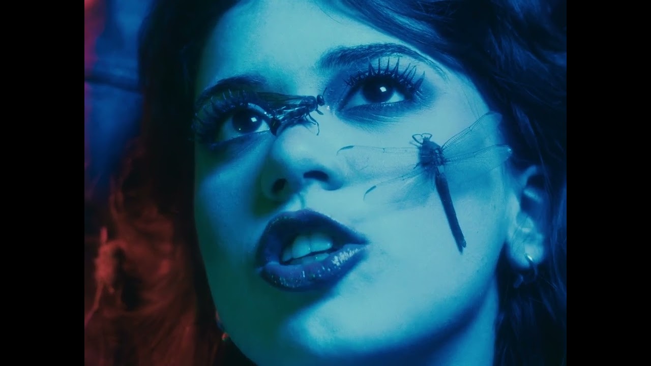 Swarm (Official Music Video)