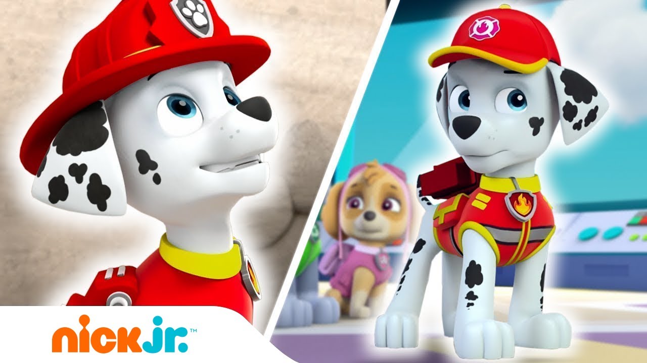 Psi Patrol | 🐾 Najlepsze momenty z udziałem Marshalla 🐾  | Nick Jr.