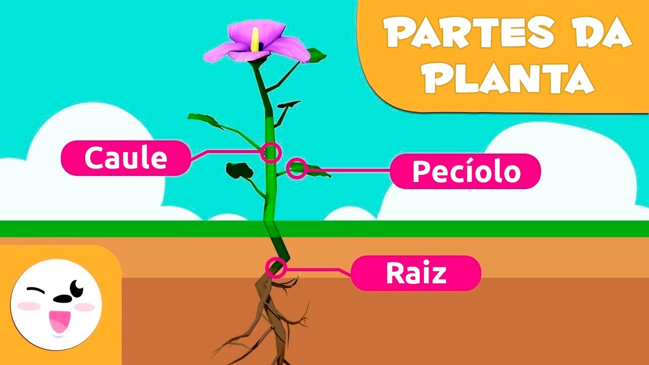 As partes da planta para crianças |Ciências para crianças