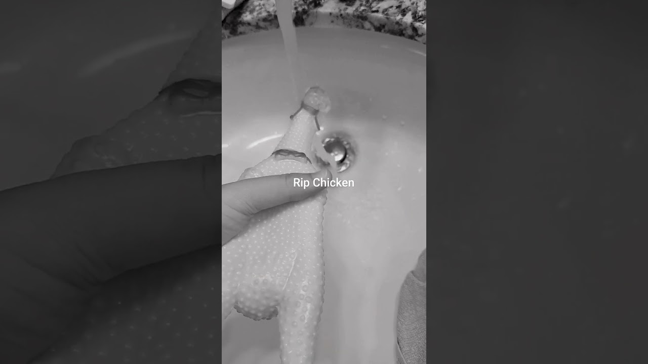 chicken goes cluck #chicken #funny #firstyoutubeshort