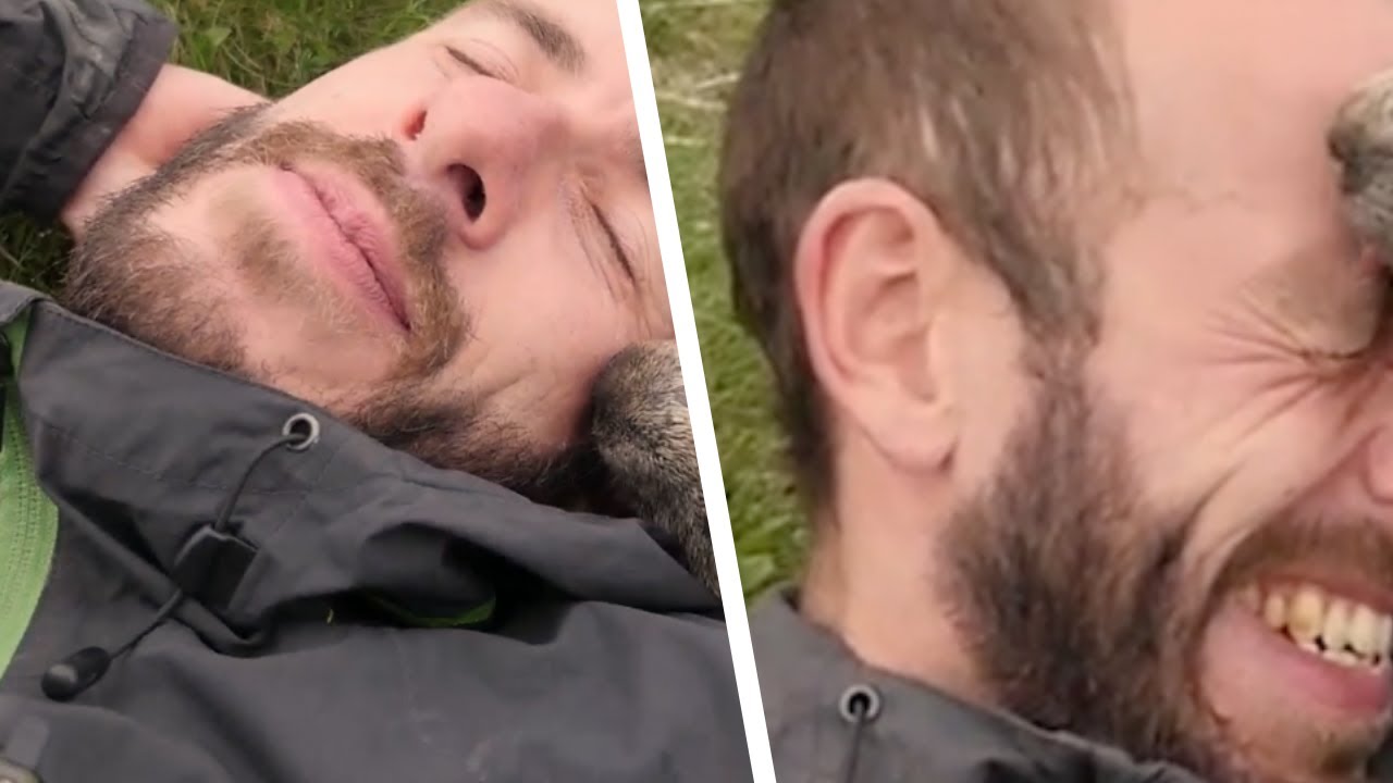 Турист увидел приближающегося к нему сурка и замер. Он никогда не забудет, что произошло дальше!