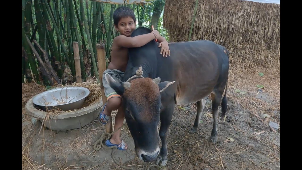 তার বন্ধু কে কোরবানির জন্য বিক্রি করতে দিবে না | Doyel Agro