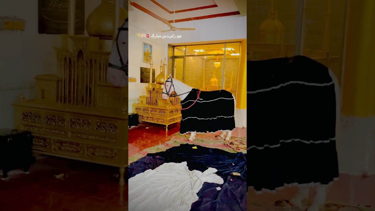 Eid-e-Shuja Mubarak 🫀🫶🏻🌾#zuljinah #shortsvideo #viralvideo #youtubeshorts