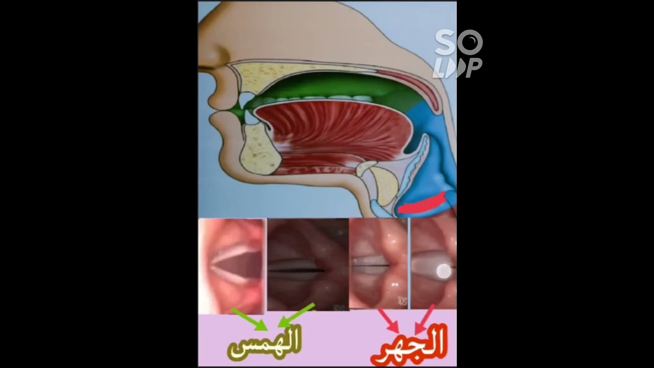 حالات الوتران الصوتيات عند النطق