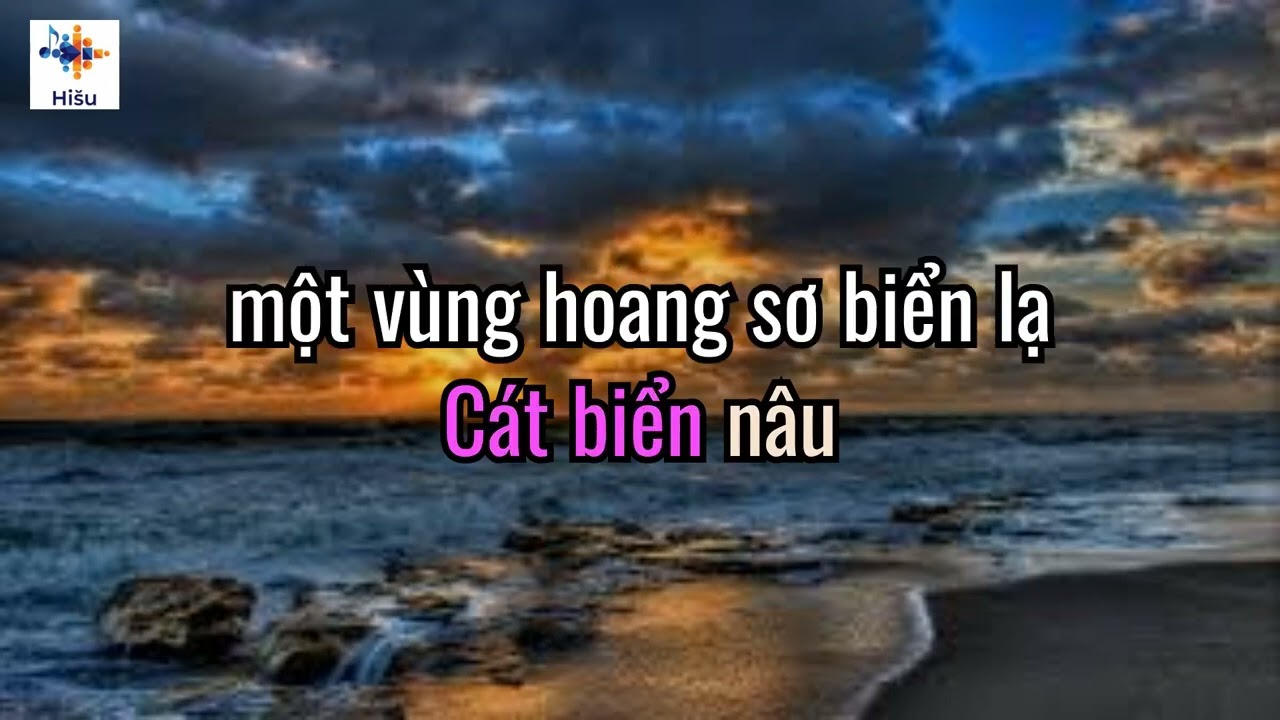 Cát Biển Nâu  - Ngọc Loan  - KARAOKE ( TONE NAM )