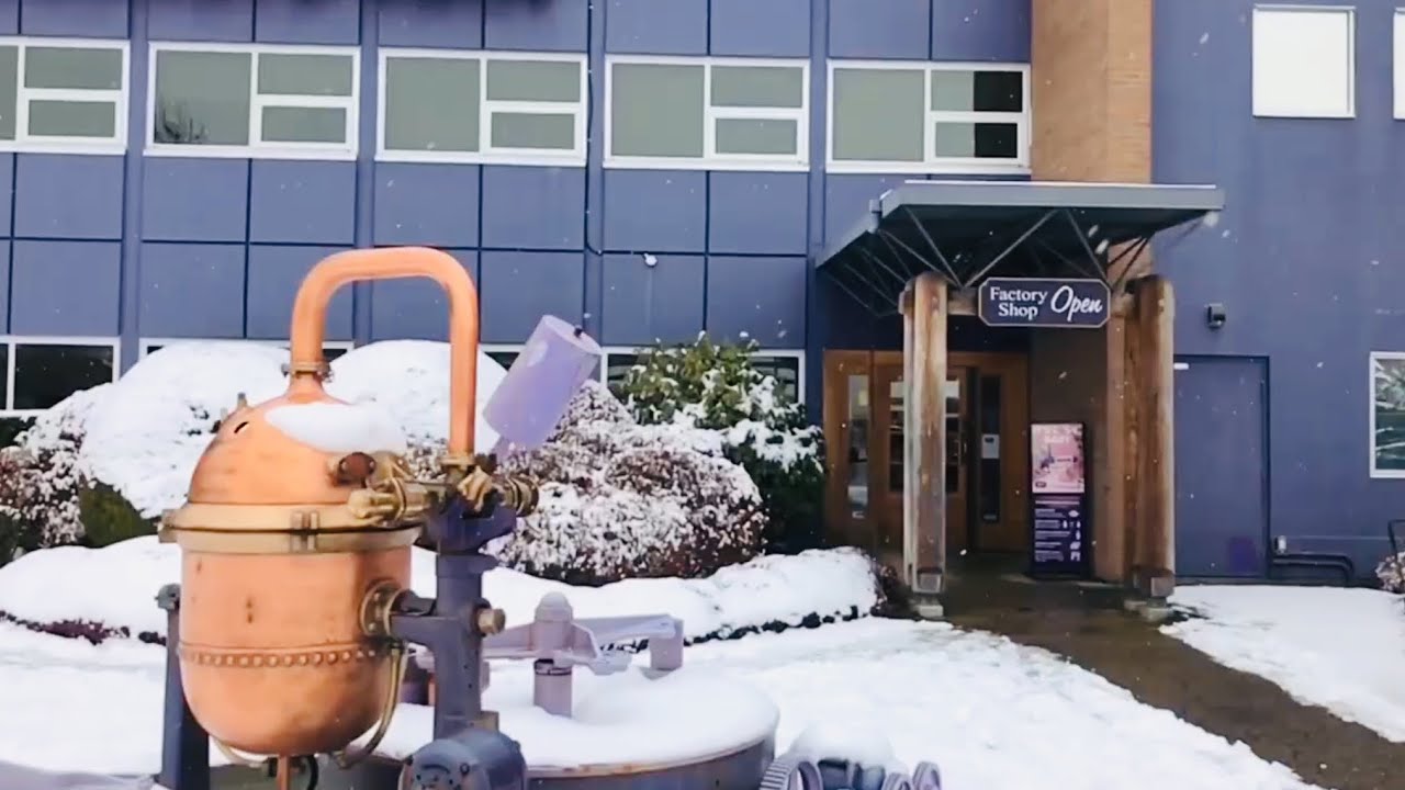 🇨🇦Walk Snow Fall/ Purdys Chocolate Shop /Renfrew-Collingwood East Vancouver Canada 2021 밴쿠버 초콜렛 펄디
